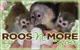 [Roos-n-More Zoo Logo]