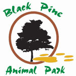 [Black Pine Animal Sanctuary Logo]