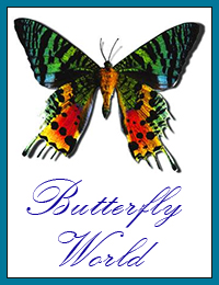 [Butterfly World Logo]