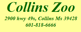 [Collins Zoo Logo]