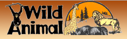 [Pine Mountain Wild Animal Safari Logo]