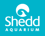 [Shedd Aquarium Logo]