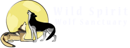 [Wild Spirit Wolf Sanctuary Logo]