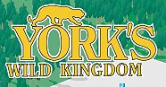 [York’s Wild Kingdom Logo]