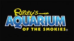 [Ripley’s Aquarium of the Smokies Logo]