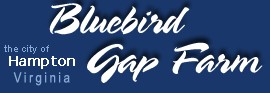 [Bluebird Gap Farm Logo]