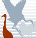[International Crane Foundation Logo]