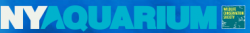 [Coney Island Aquarium Logo]