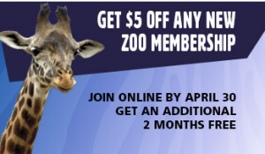Louisville Zoo Coupon